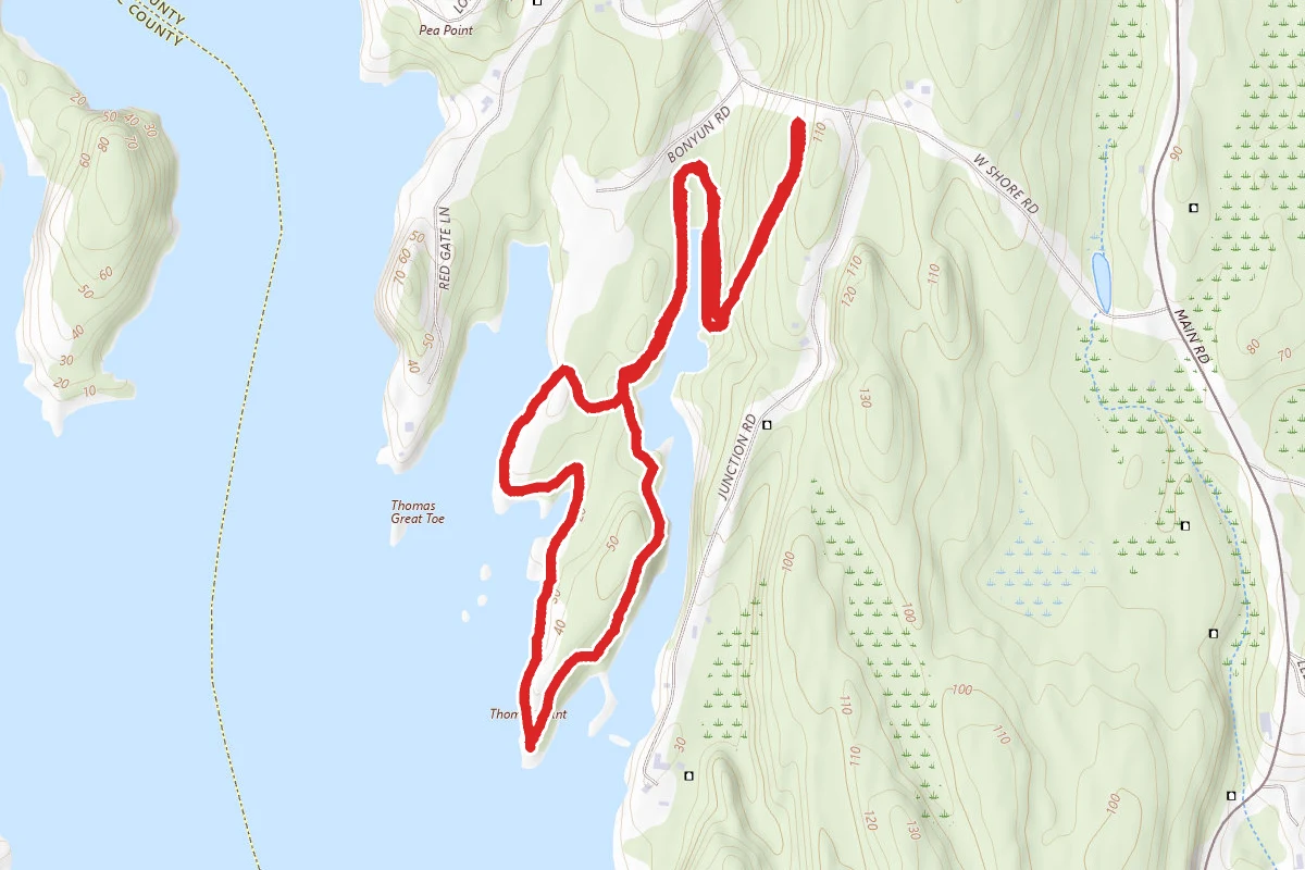 Sasanoa River Estuary Trail