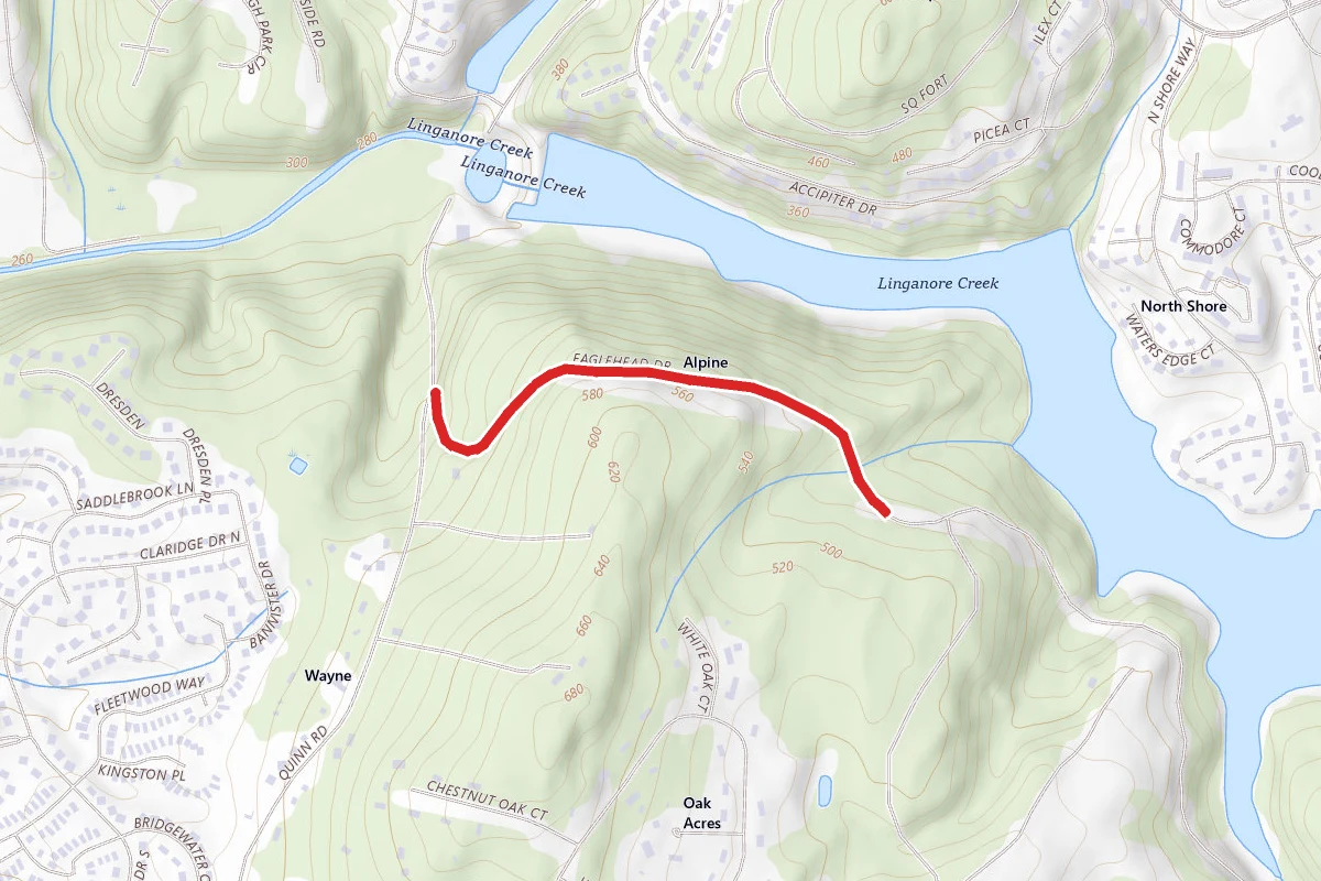 Eaglehead Trail
