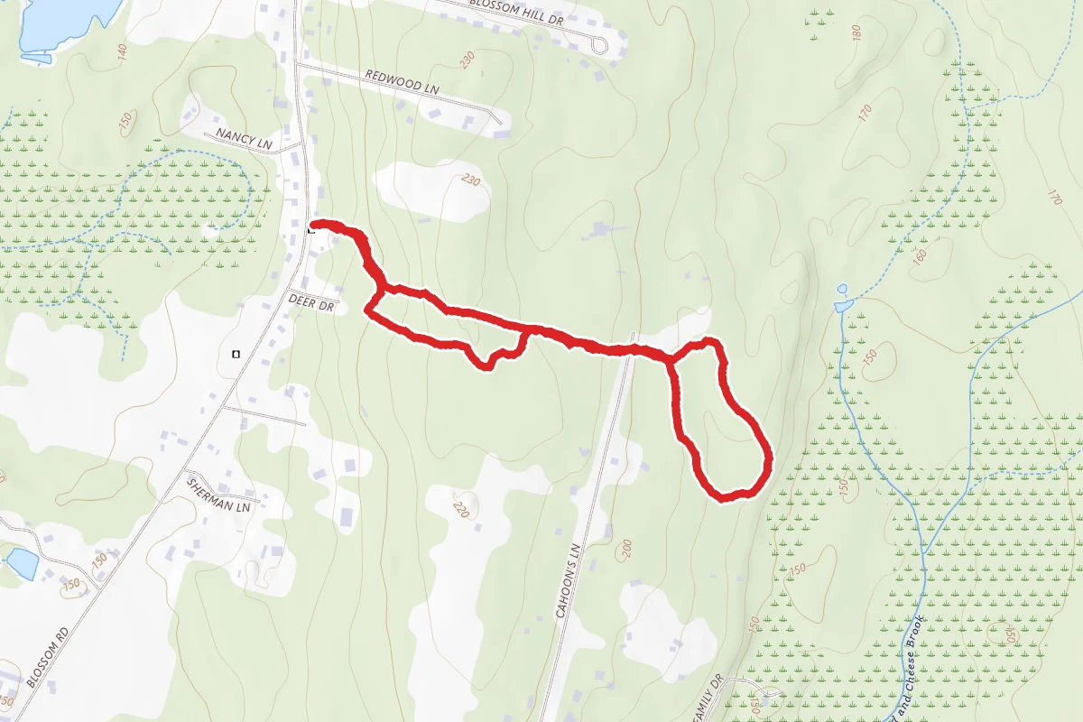 Headwaters Conservation Area