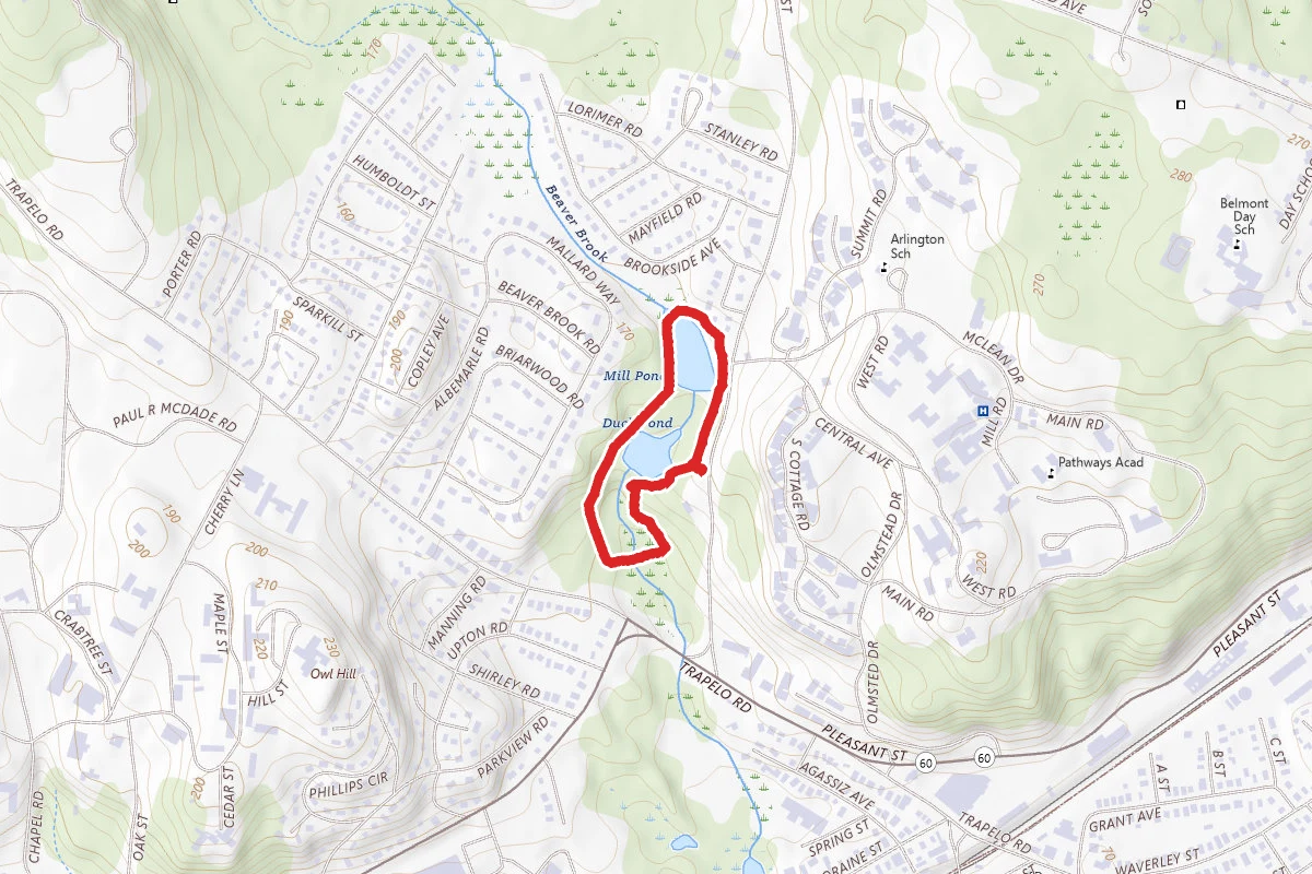 Duck Pond and Mill Pond Loop
