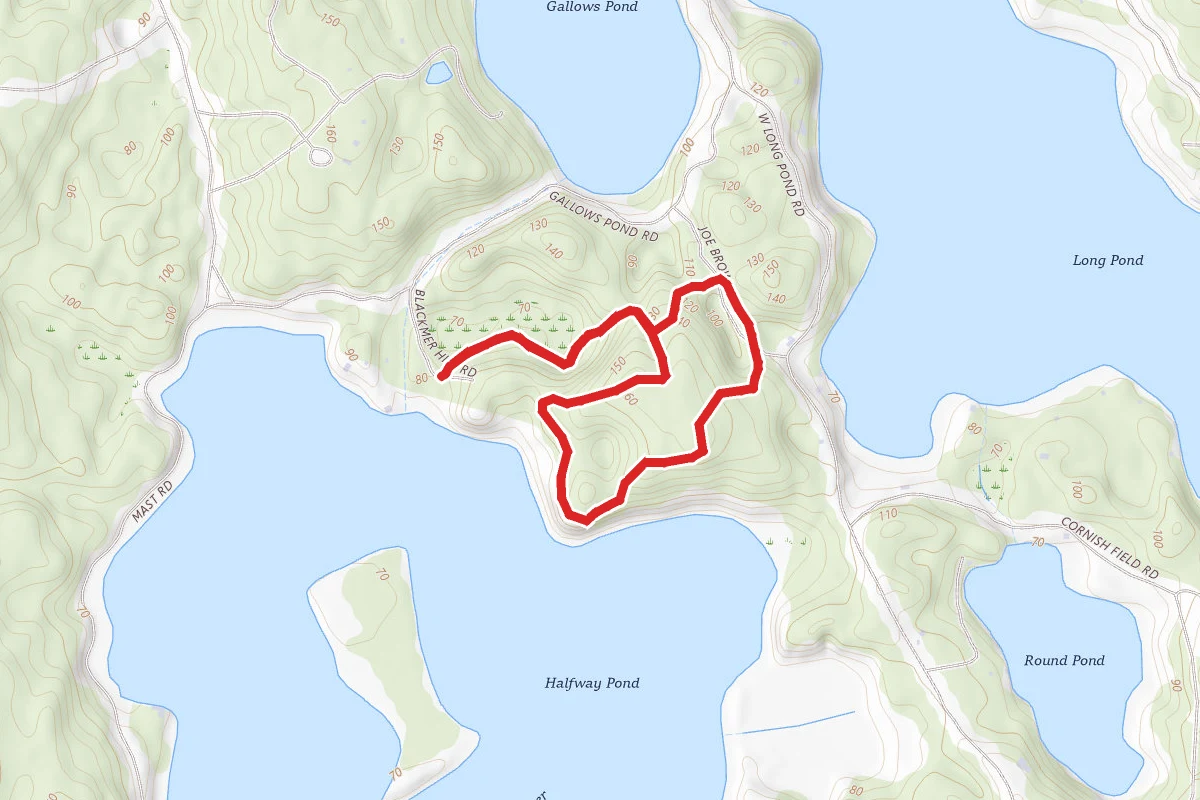 Gallows Pond Preserve