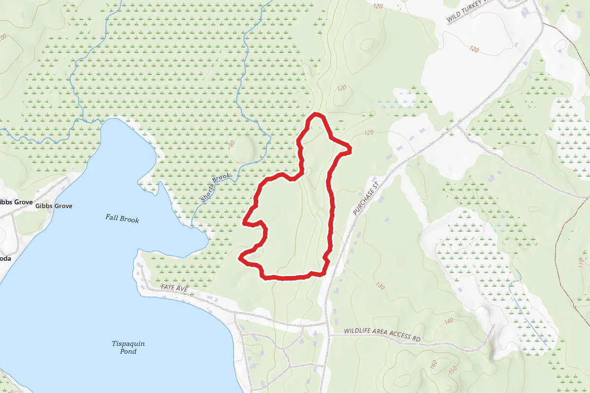 Weston Forest Blue Loop