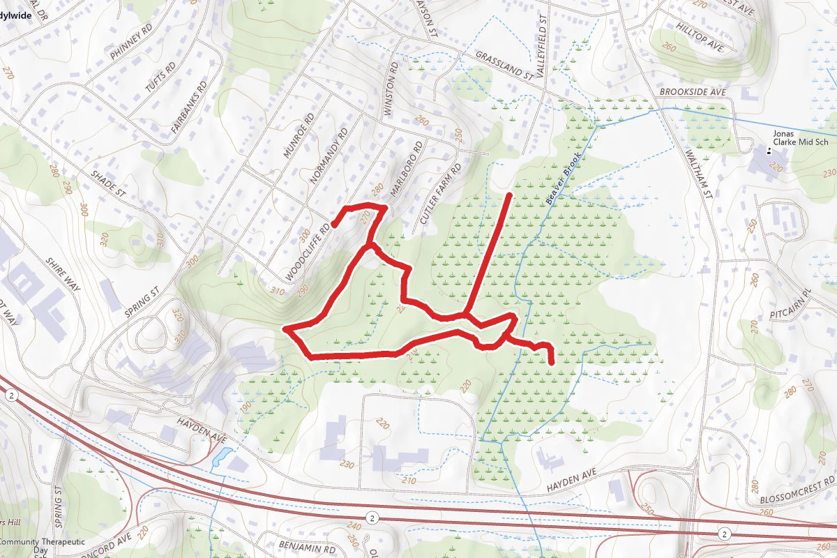 Hayden Woods Loop