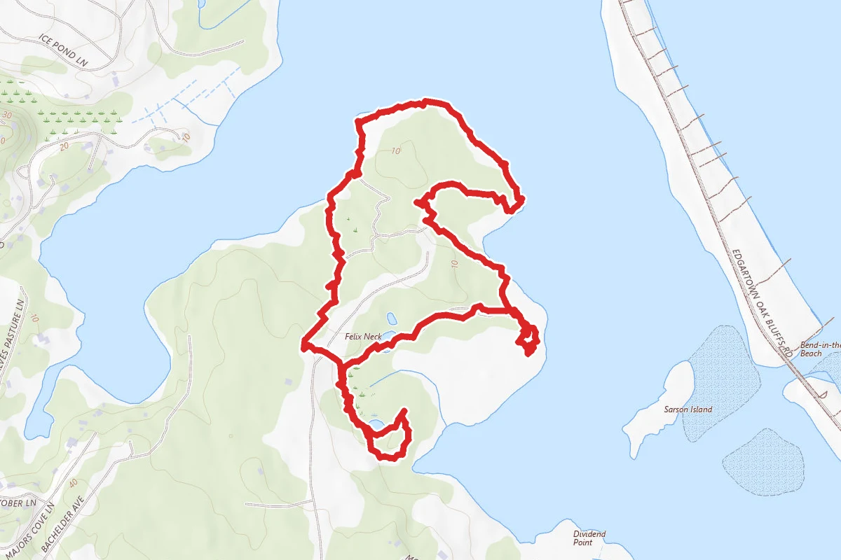 Woodland Wonderland Trail