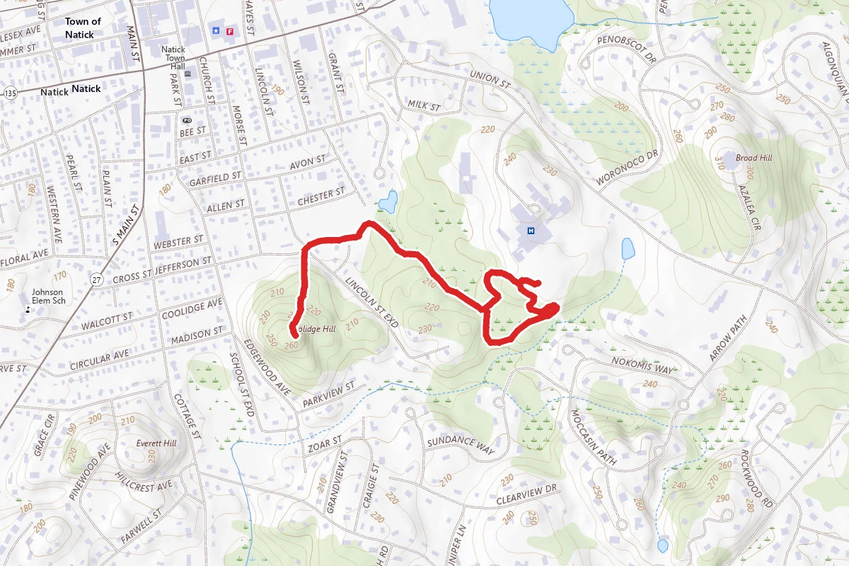 Coolidge Hill via Eisenmenger Trail