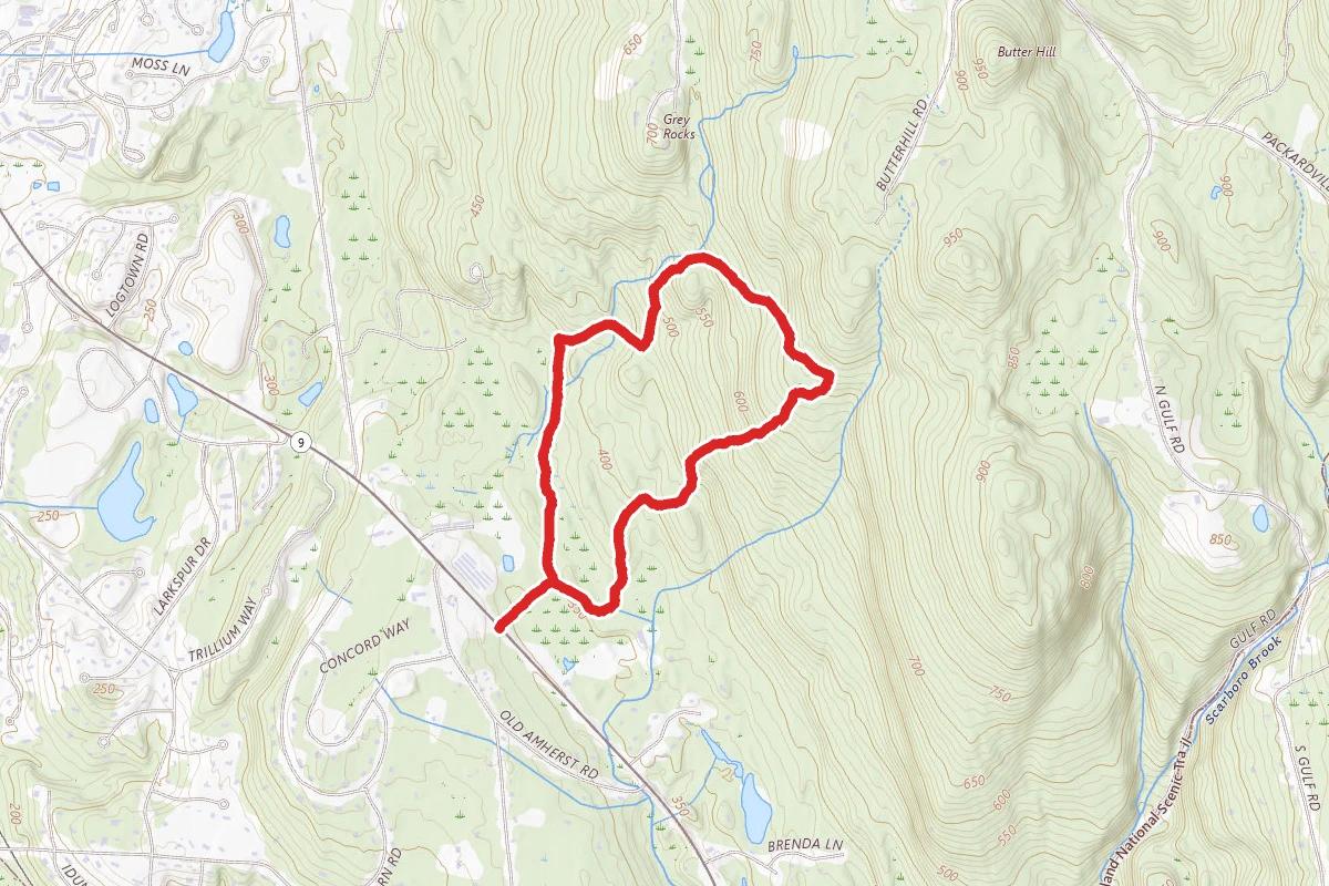 Mountain Goat Loop