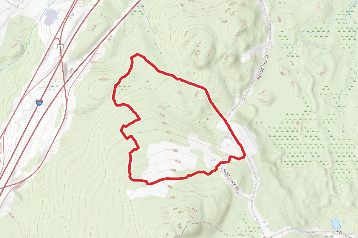 Old Summit Road Trail