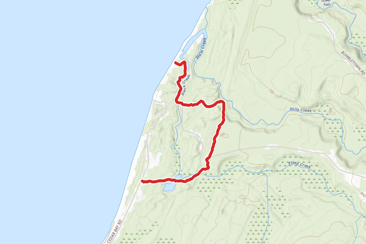Black Creek Nature Sanctuary Hiking Trail