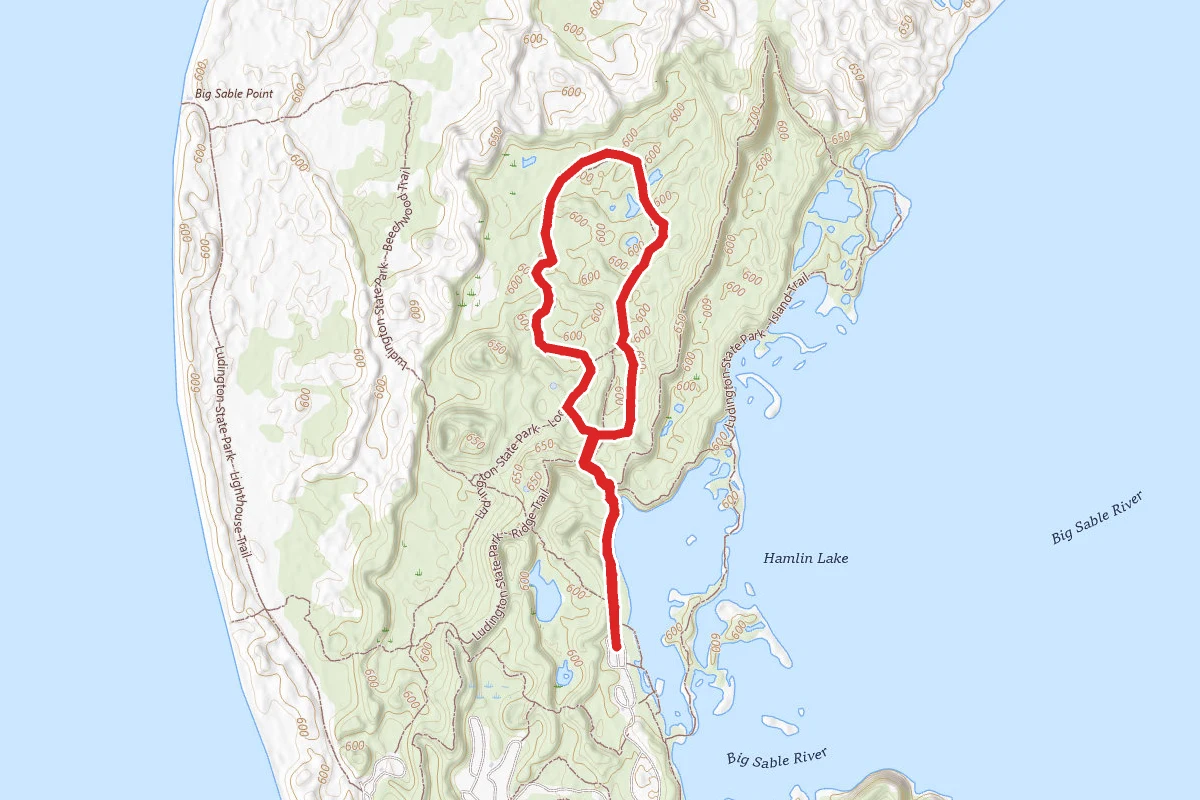 Logging Trail