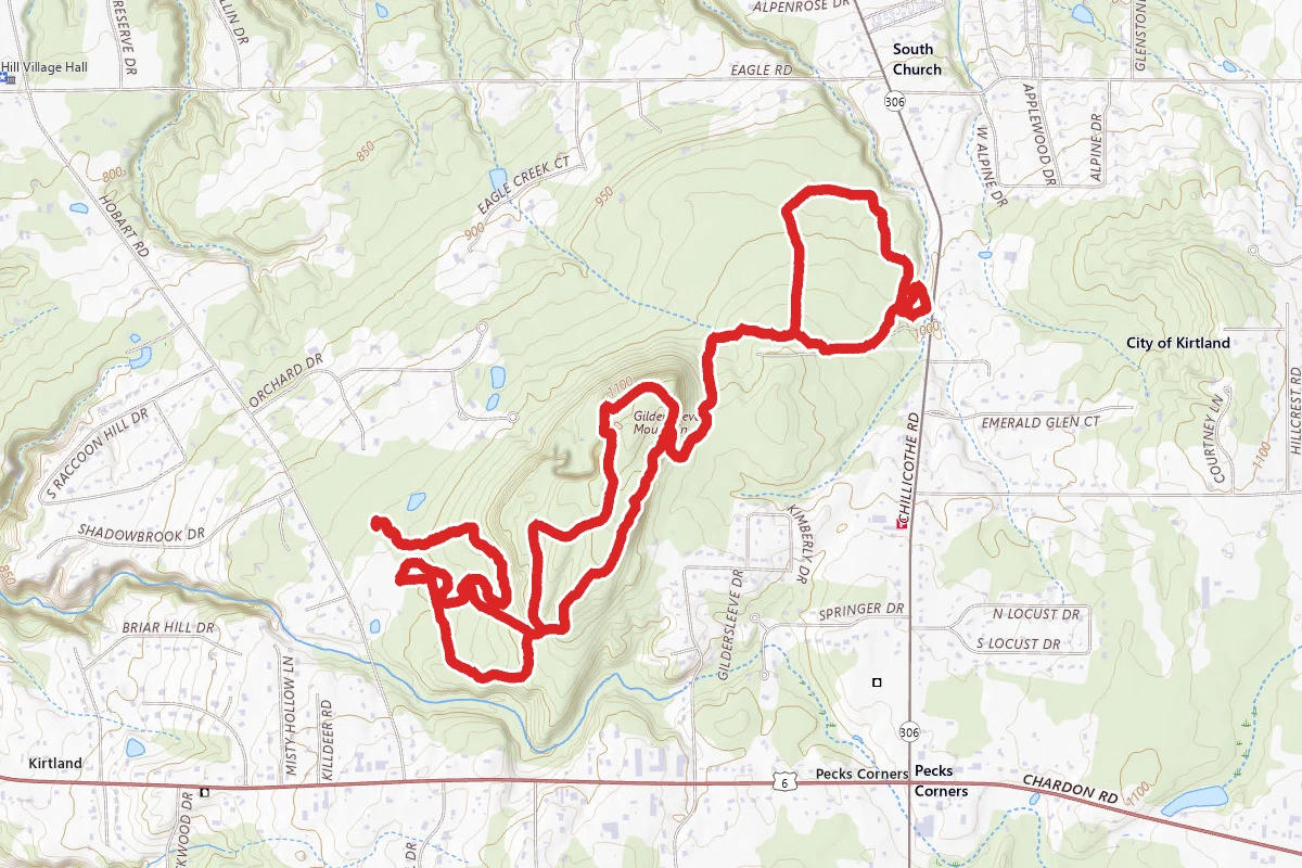 Chapin Forest Trail