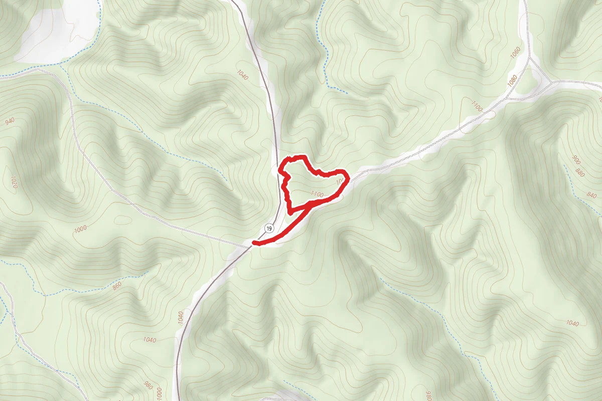 Virgin Pine Walk & Pioneer Forest Interpretive Drive