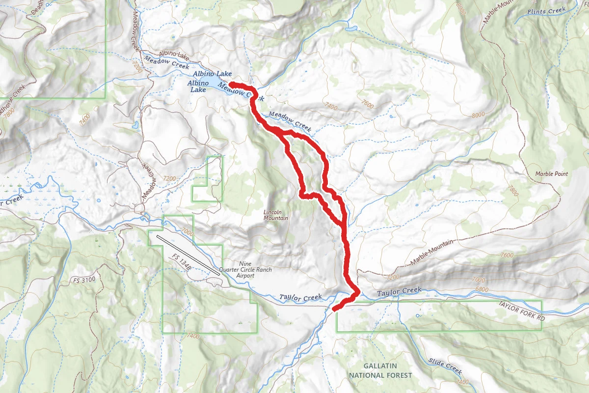 Albino Lake Trail
