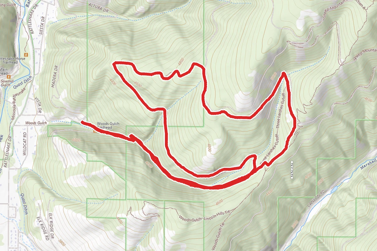 Woods Gulch and Three Larches Trails Loop