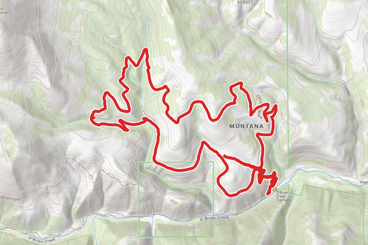 O’Brien Trail