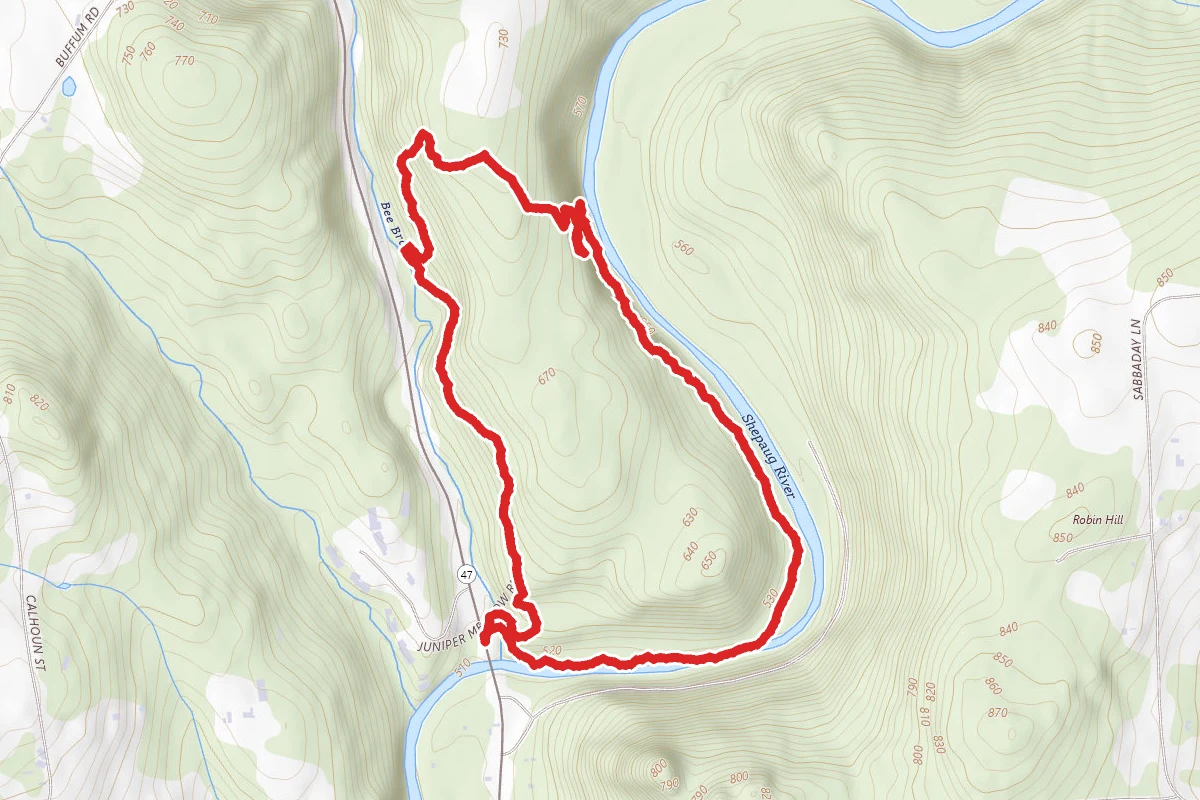 Bee Brook Loop