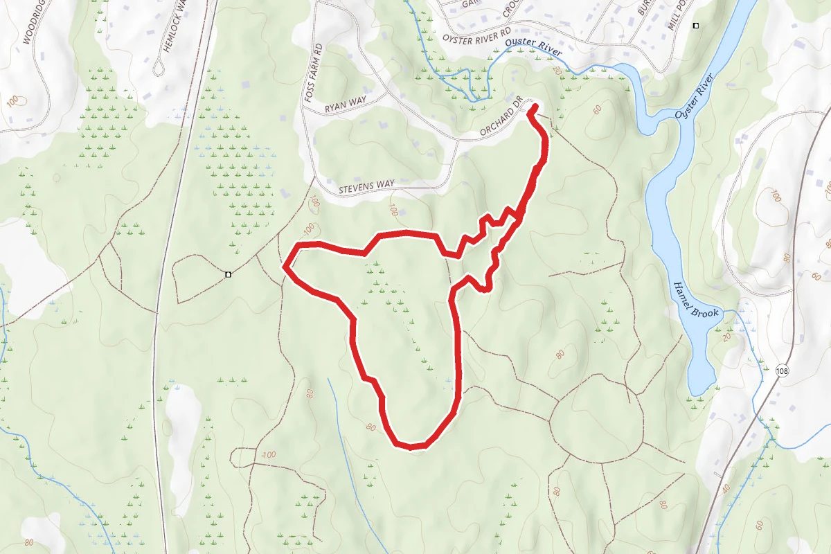 Orchard Drive Woods