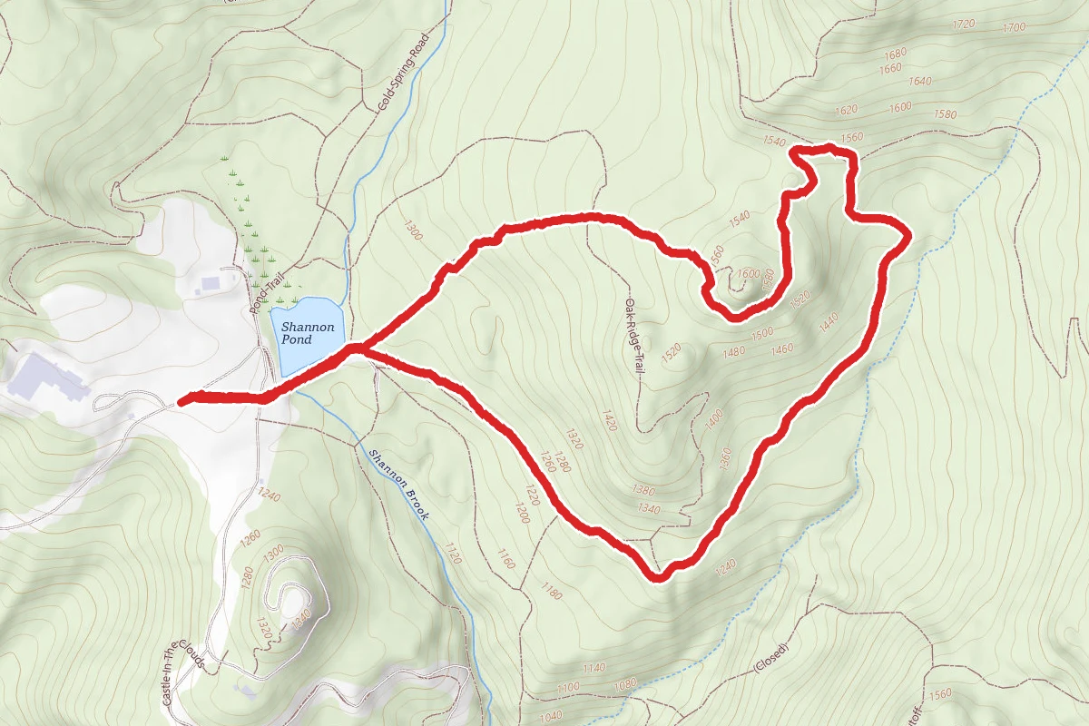 Bridle Path to Turtleback Mountain Trail Loop