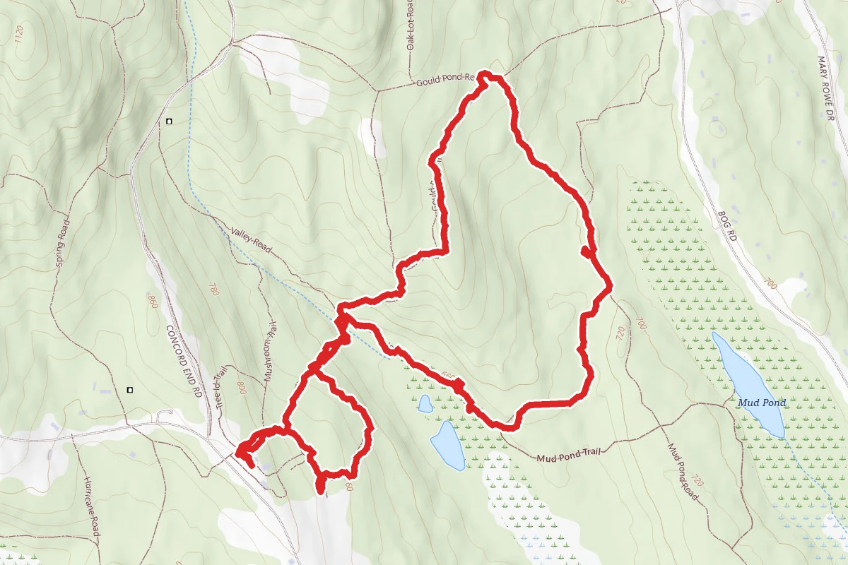 Mushroom Trail