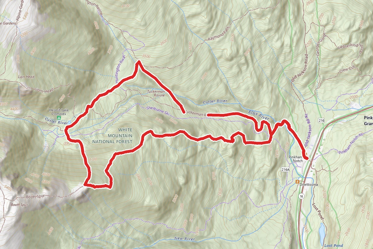 Tuckerman and Huntington Ravine Trails to Boott Spur Trail