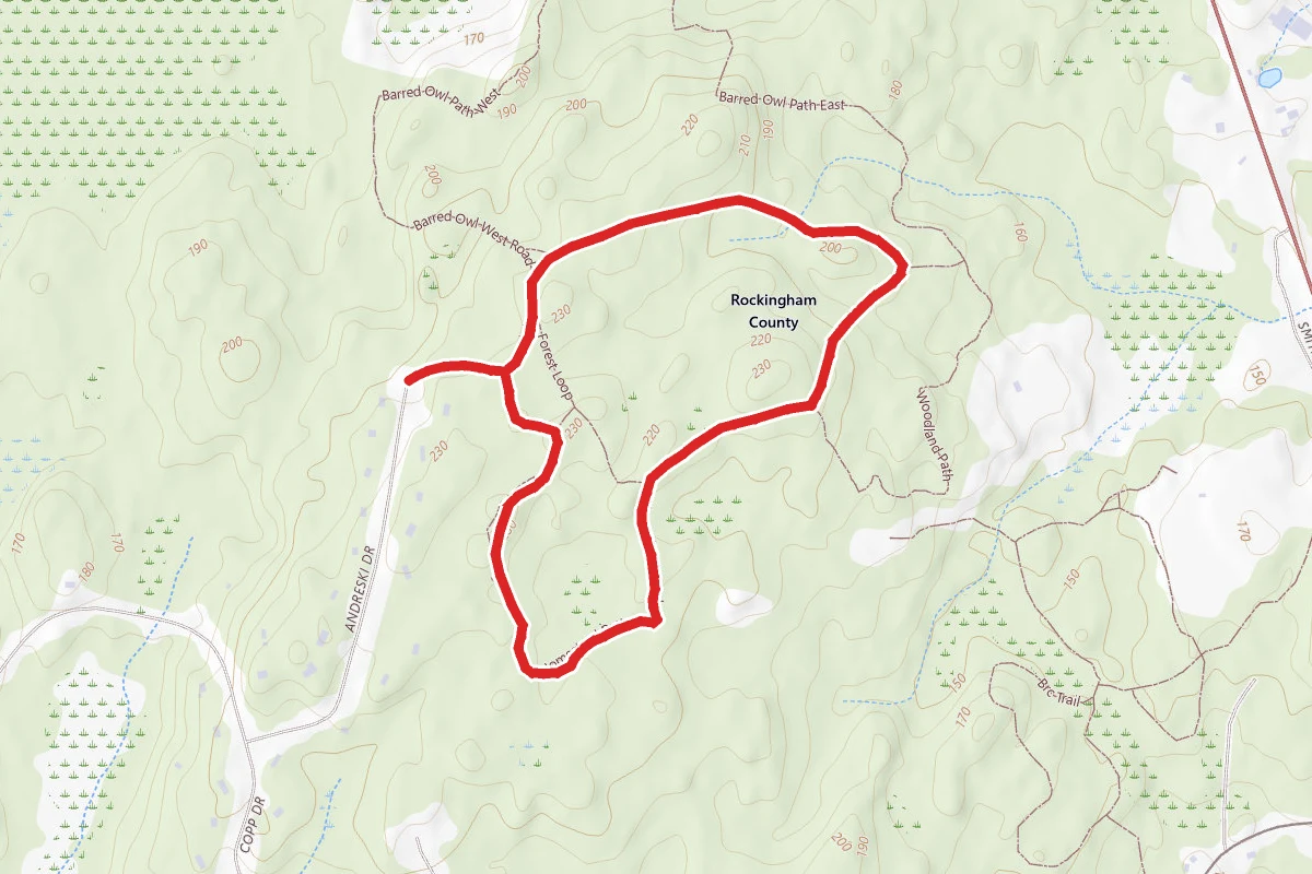 Forest Loop Via Homestead Trail