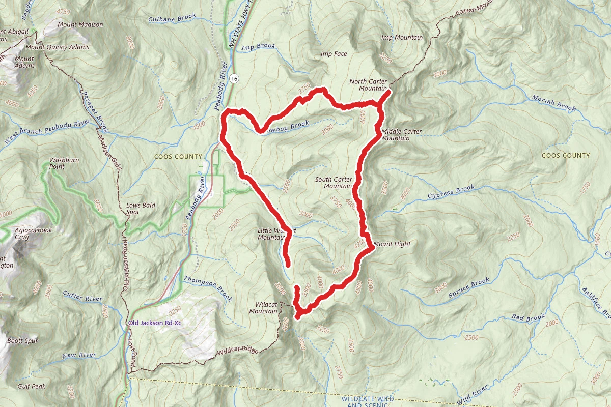 Nineteen Mile Brook Trail to Carter Mountain to IMP Trail Loop