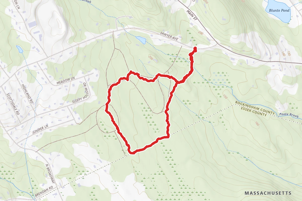 Sawyer Loop