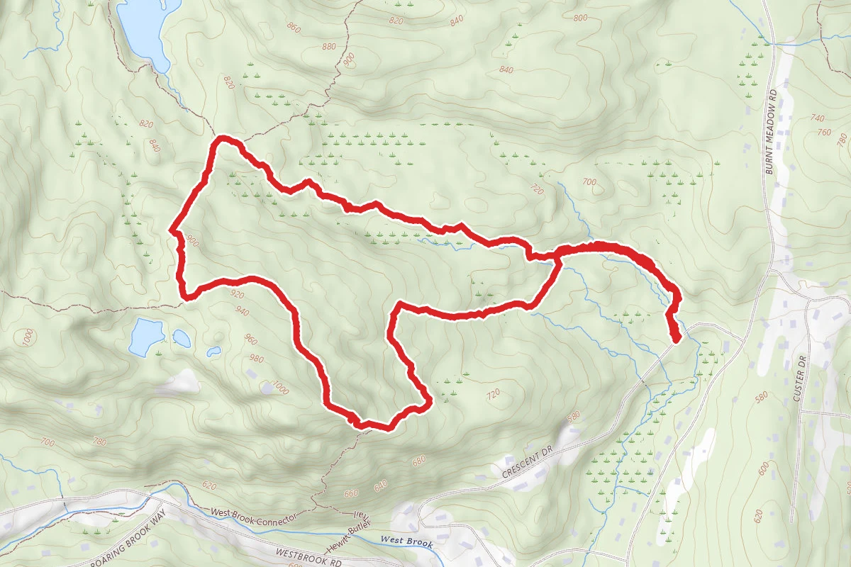 Manaticut Point and Lake Sonoma Loop