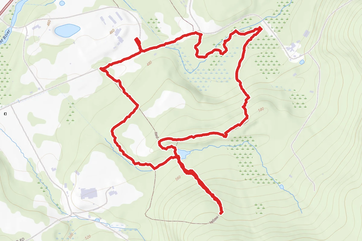 Pequest Wildlife Management Area Trails