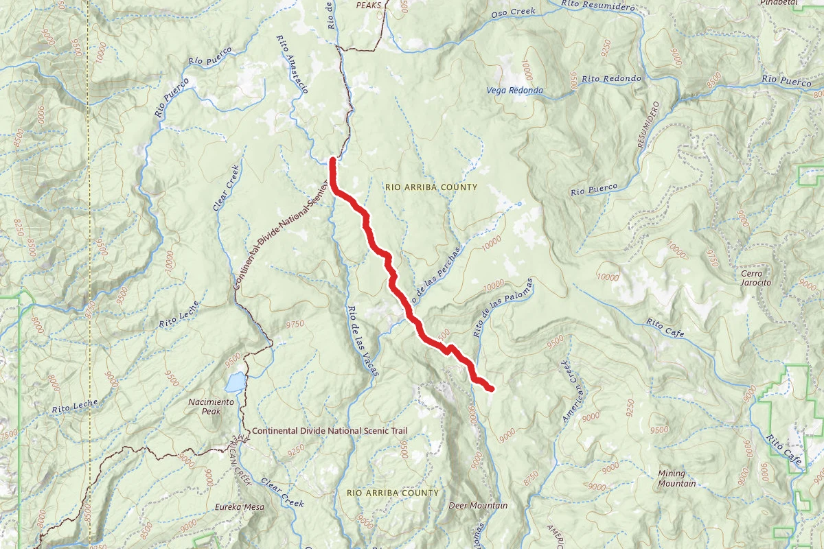 Palomas Trail