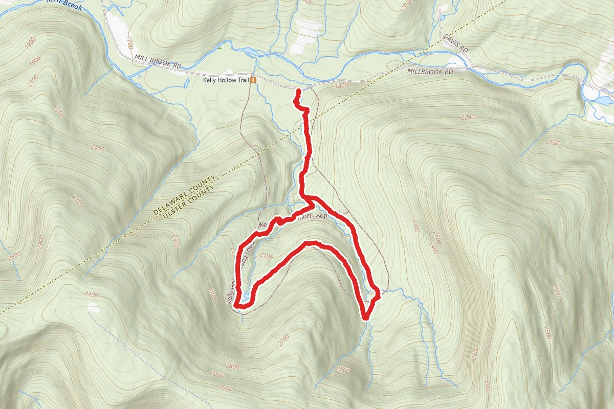 Kelly Hollow Loop