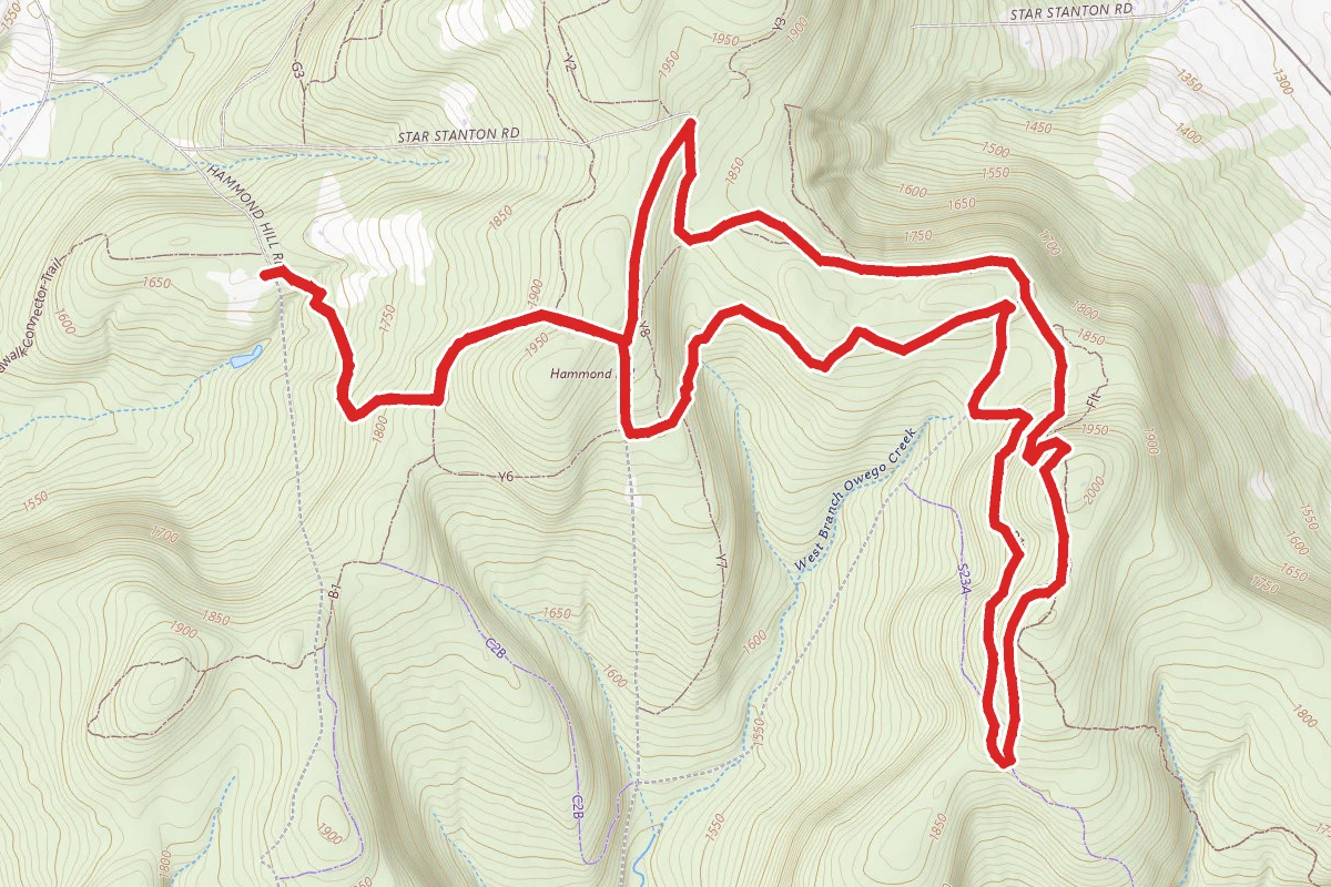 Hammond Hill and Radio Tower Loop Trail