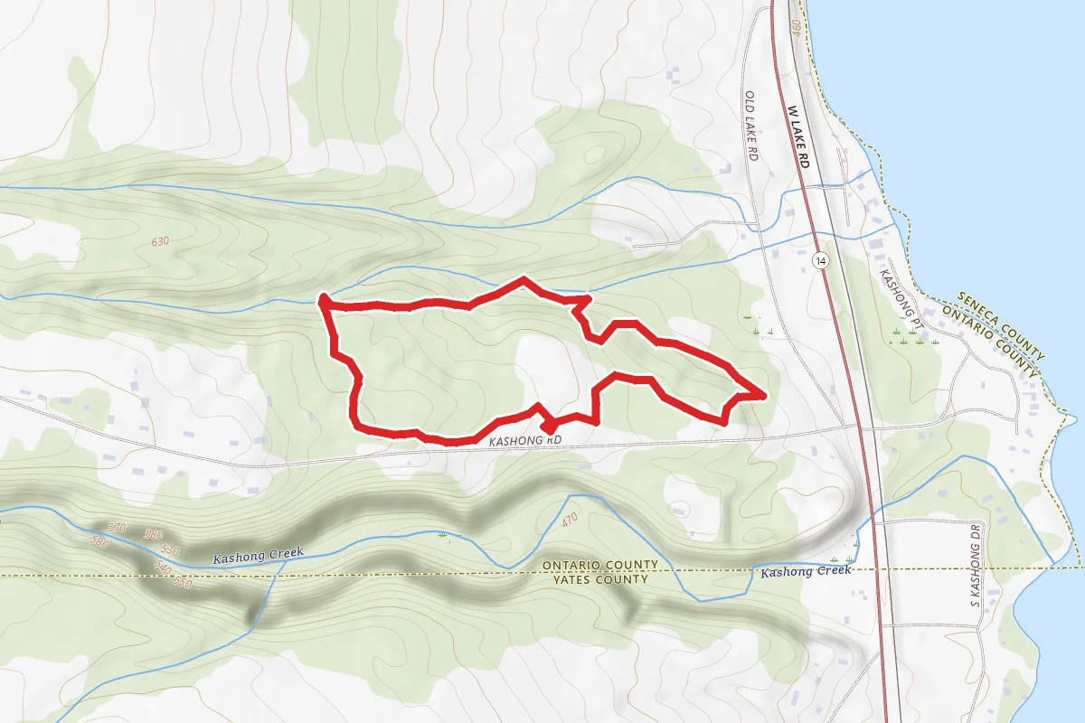 Kashong Conservation Area Green Trail Loop