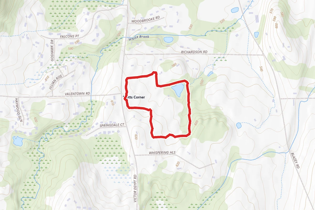 Bluebird Haven Trail