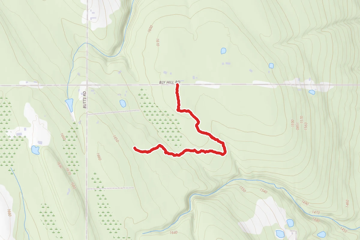 Dobbins Nature Trail