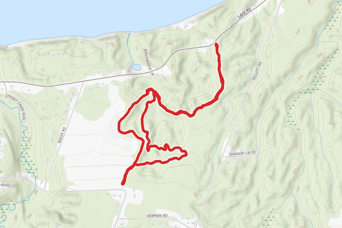 Meadow Trail to Big Field Trail Loop