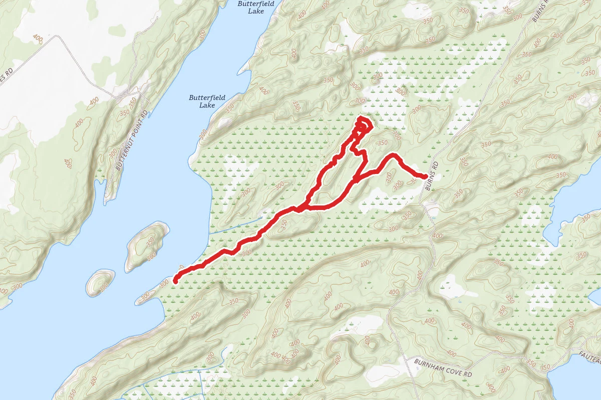 Butterfield and Eagle Marsh Trails Loop