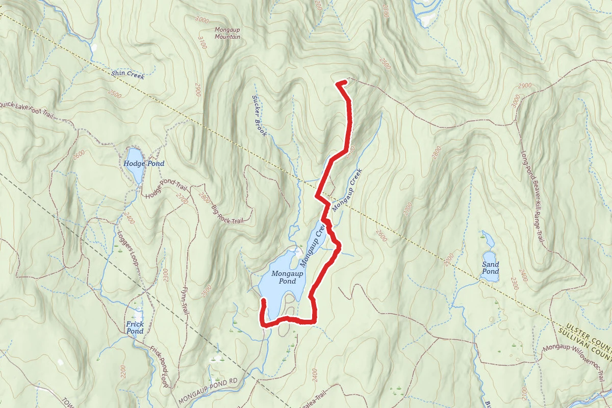 Mongaup Pond Campground Trail