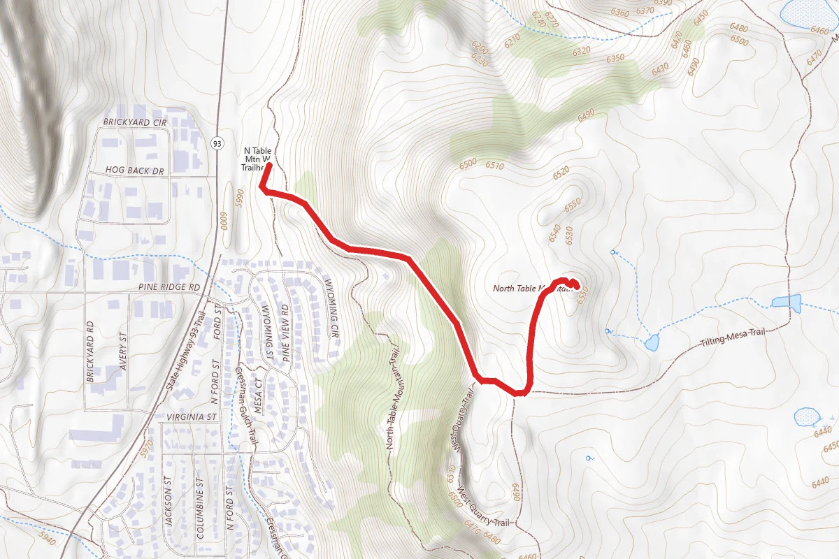 Lichen Peak Trail