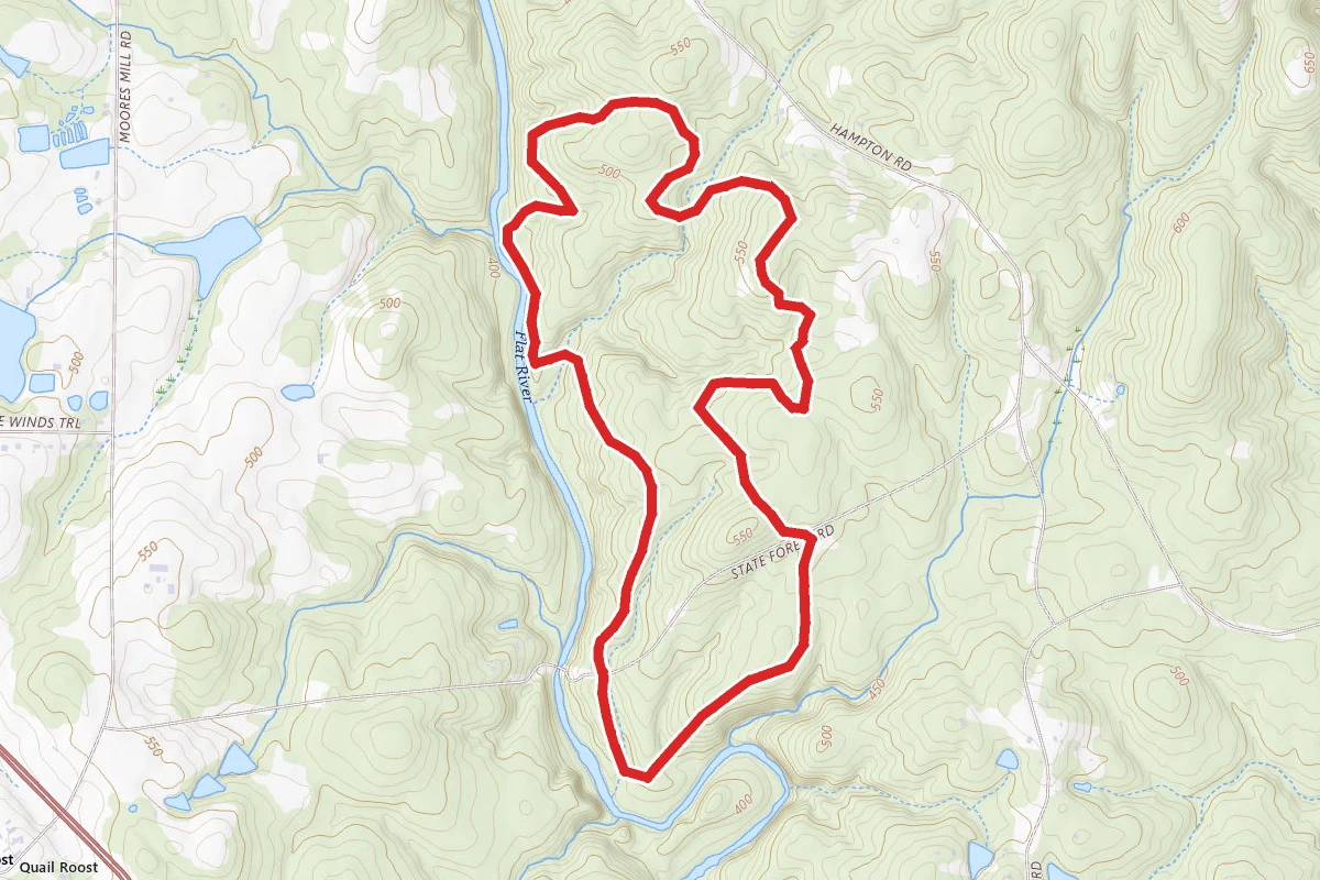 Hill Forest Loop Trail