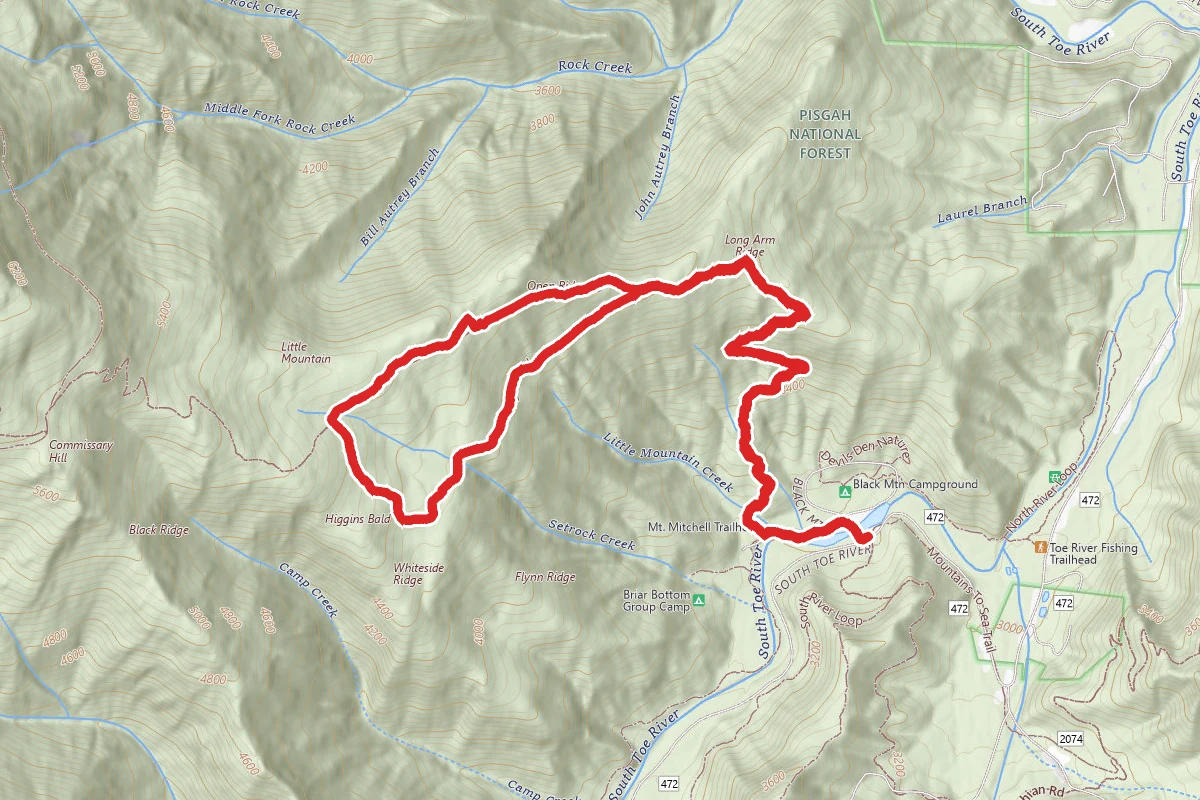 Higgins Bald via Black Mountain Camp