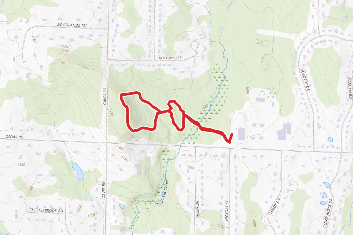 Griswold Creek, Evergreen and Summit Trails
