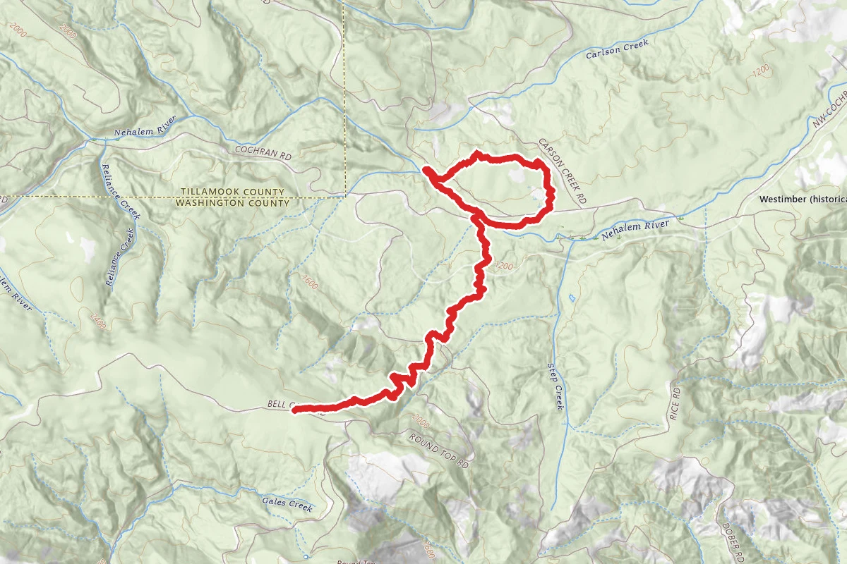Gales Creek to Triple C Loop