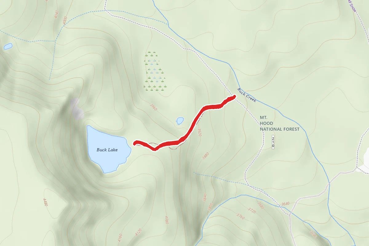 Buck Lake Trail #728
