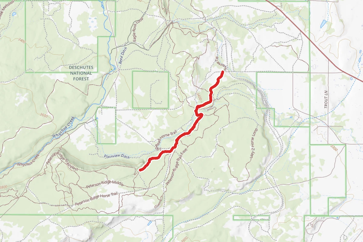 Peterson Ridge Overlook