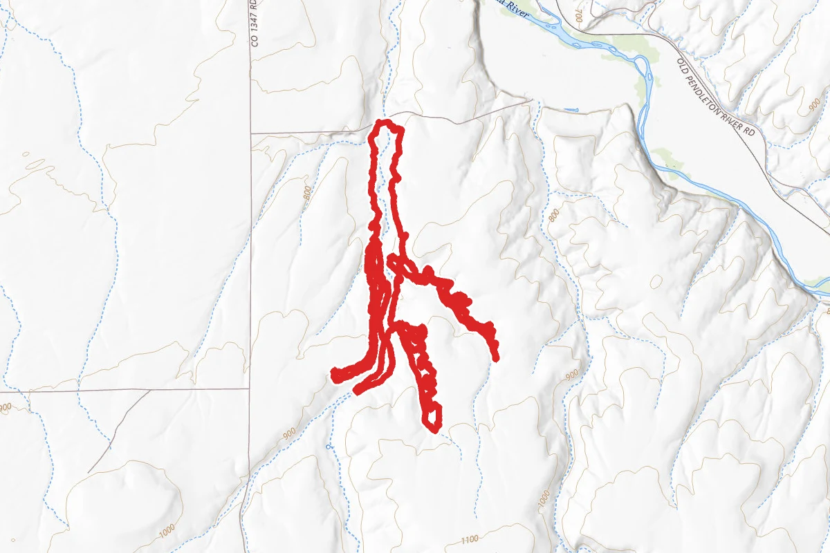 Echo Mountain Bike Trail