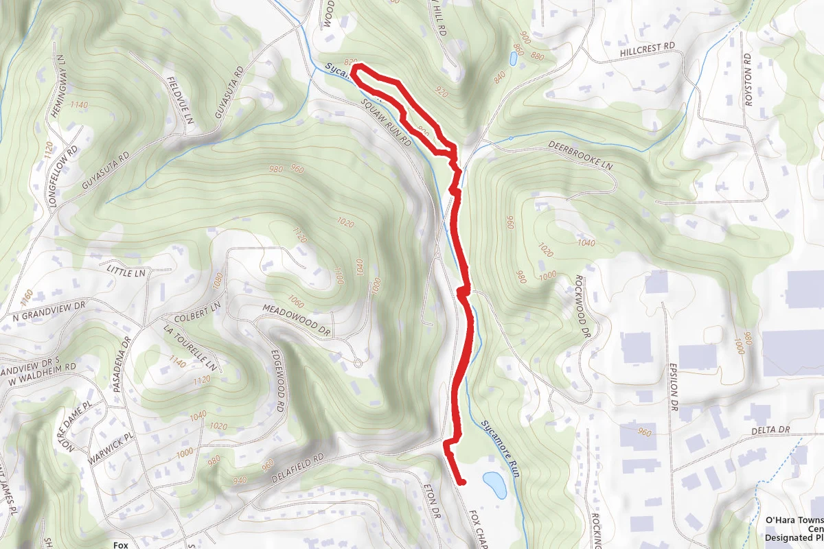 Salamander Trail Loop