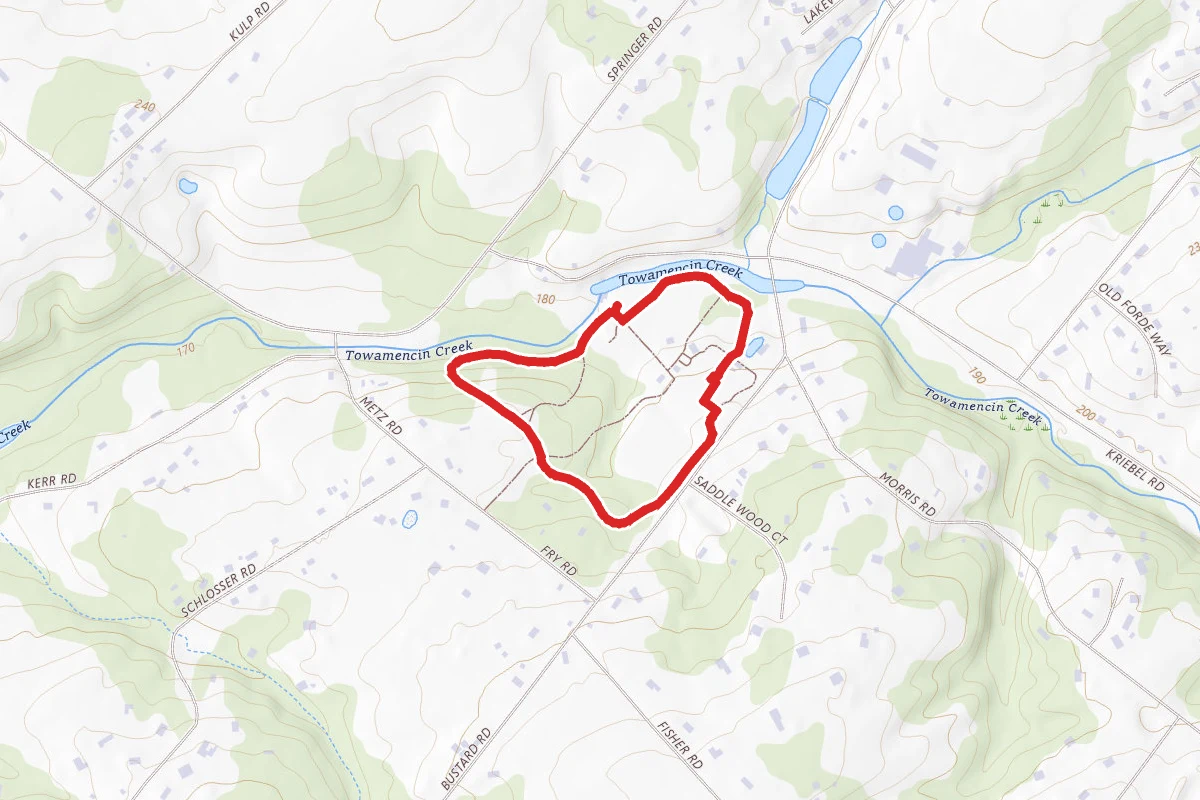 Fischers Loop