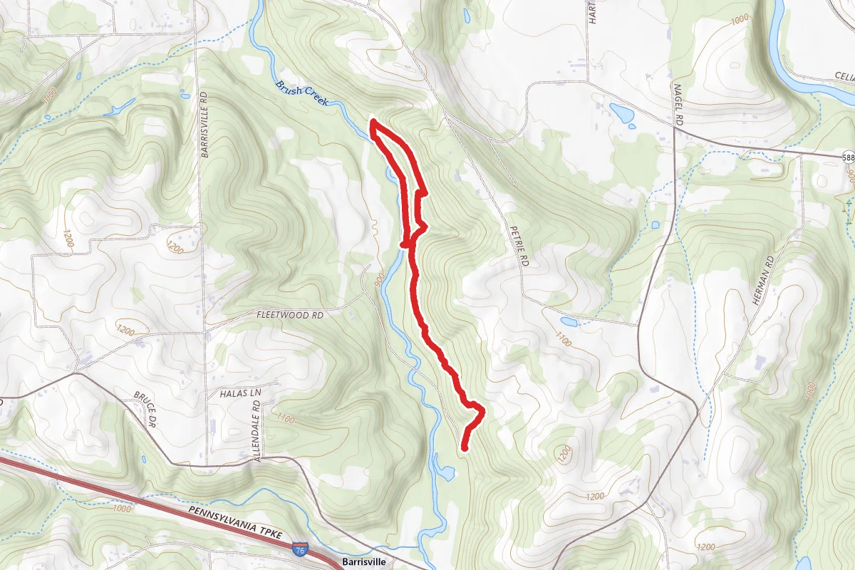 Bush Creek Trail