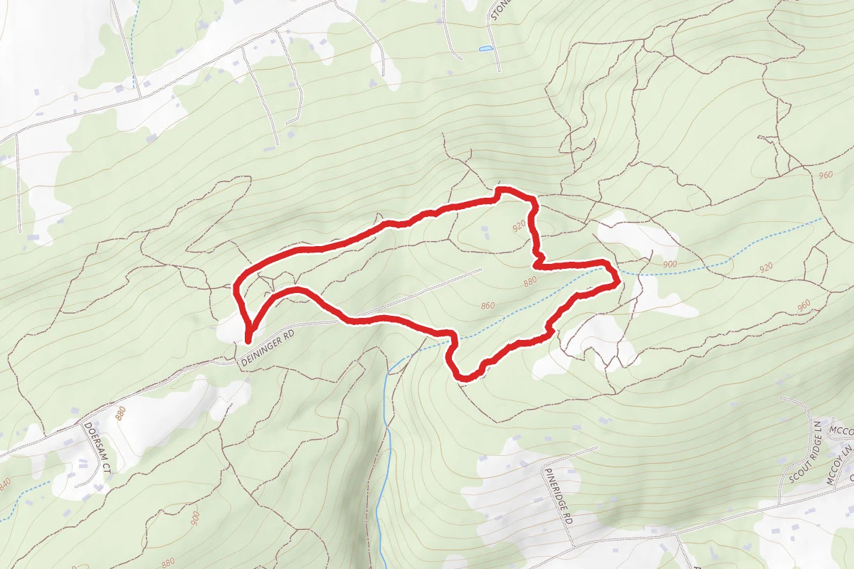 Rocky Ridge Trail 8 to Trail 4 Loop