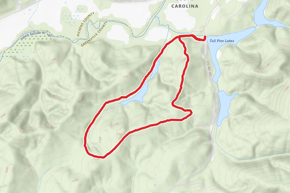 Tall Pines Loop